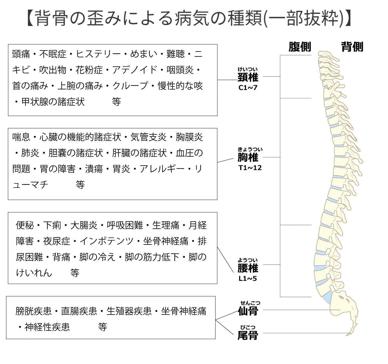 東海カイロプラクティック院頭痛・不眠症・ヒステリー・めまい・難聴・ニキビ・吹出物・花粉症・アデノイド・咽頭炎・首の痛み・上腕の痛み・クループ・慢性的な咳 ・甲状腺・喘息・心臓の機能的諸症状・気管支炎・胸膜炎・肺炎・胆嚢の諸症状・肝臓の諸症状・血圧の問題・胃の障害・潰瘍・胃炎・アレルギー・リューマチ・便秘・下痢・大腸炎・呼吸困難・生理痛・月経障害・夜尿症・インポテンツ・坐骨神経痛・排尿困難・背痛・ 脚の冷え・脚の筋力低下・脚のけいれん・膀胱疾患・直腸疾患・生殖器疾患・坐骨神経痛・神経性疾患